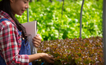 best agriculture colleges in mp